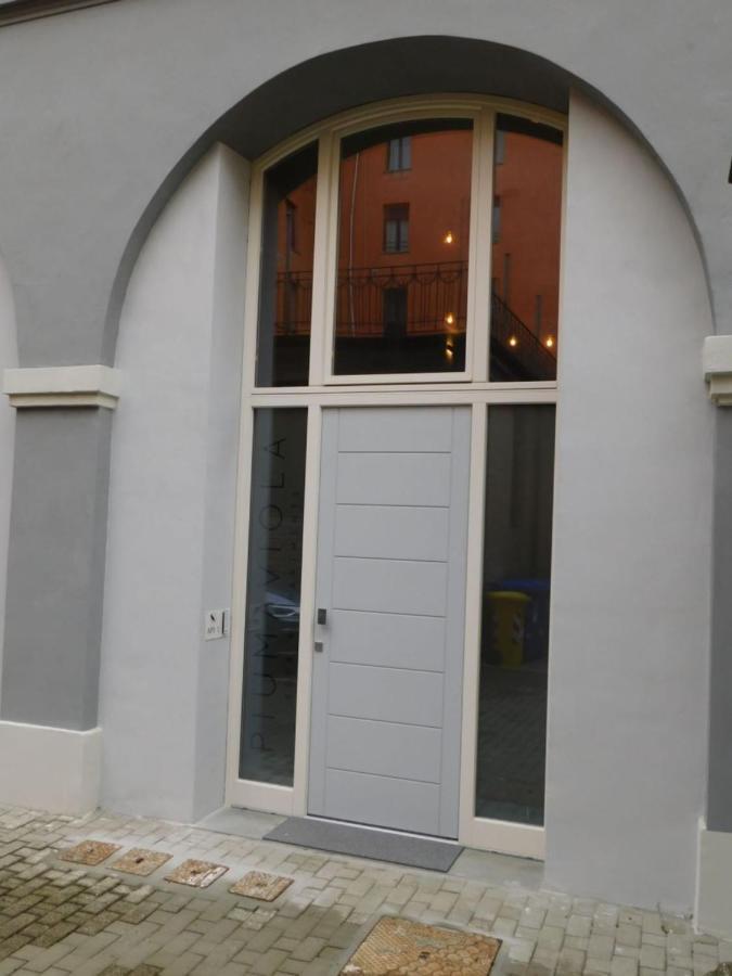 Piumaviola Beds & Apartments Parma Exterior foto